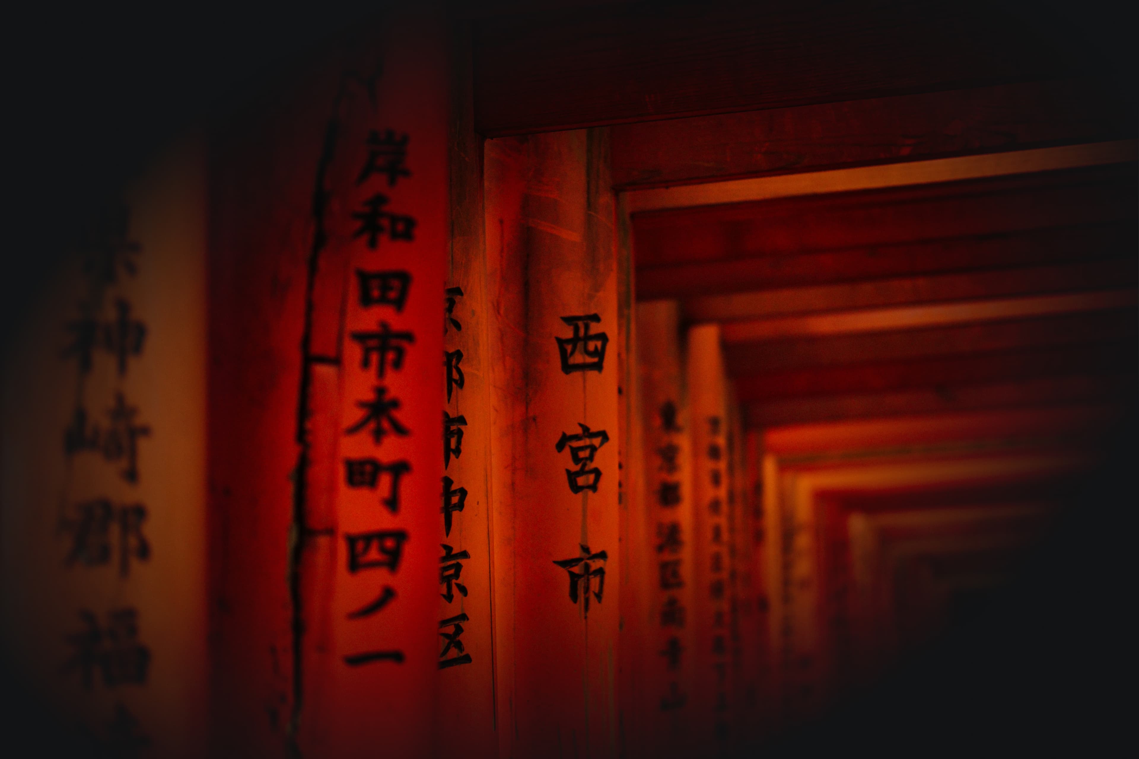 Feature view