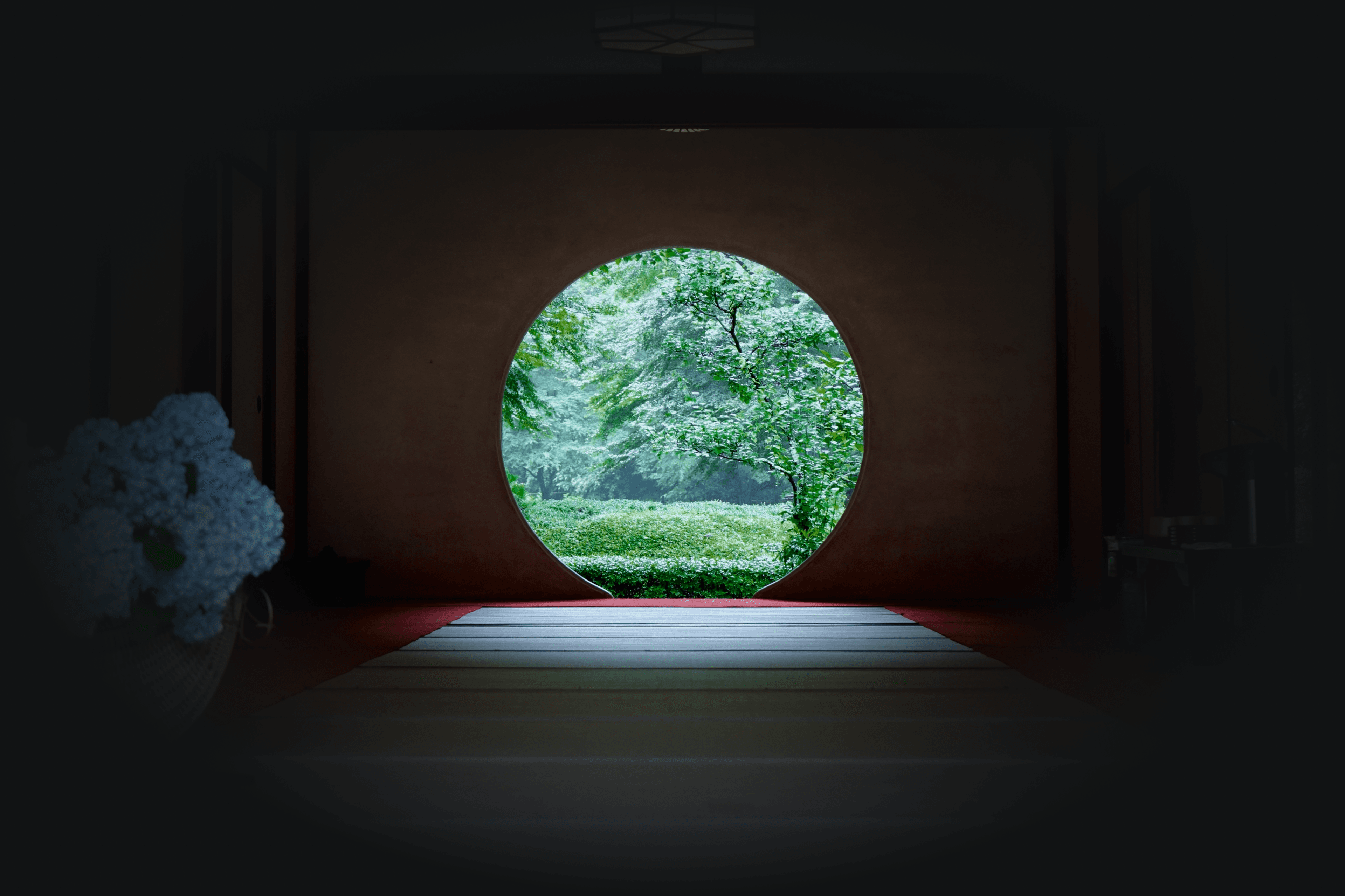 Perspective view